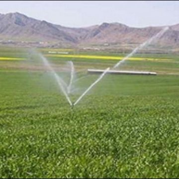 إيران تحظر تصدير 18 منتجا زراعيا إلى الخارج